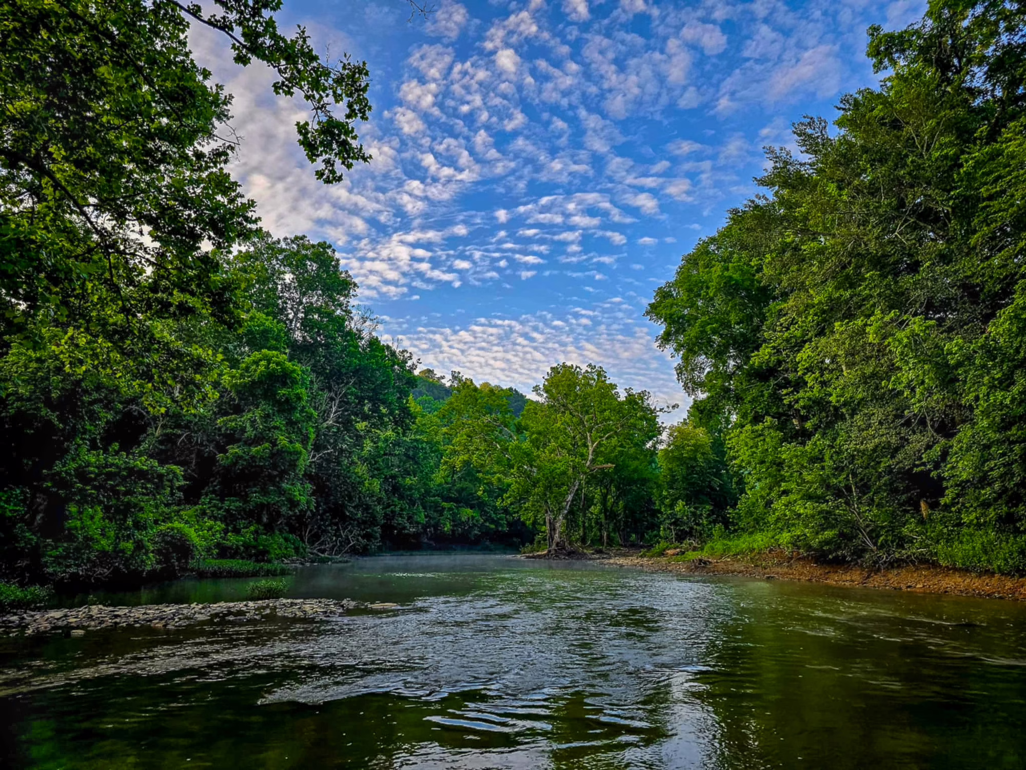 Kayak the Salt River, Photograph by Spencer County Photographer Laureate - Matthew Hagan
